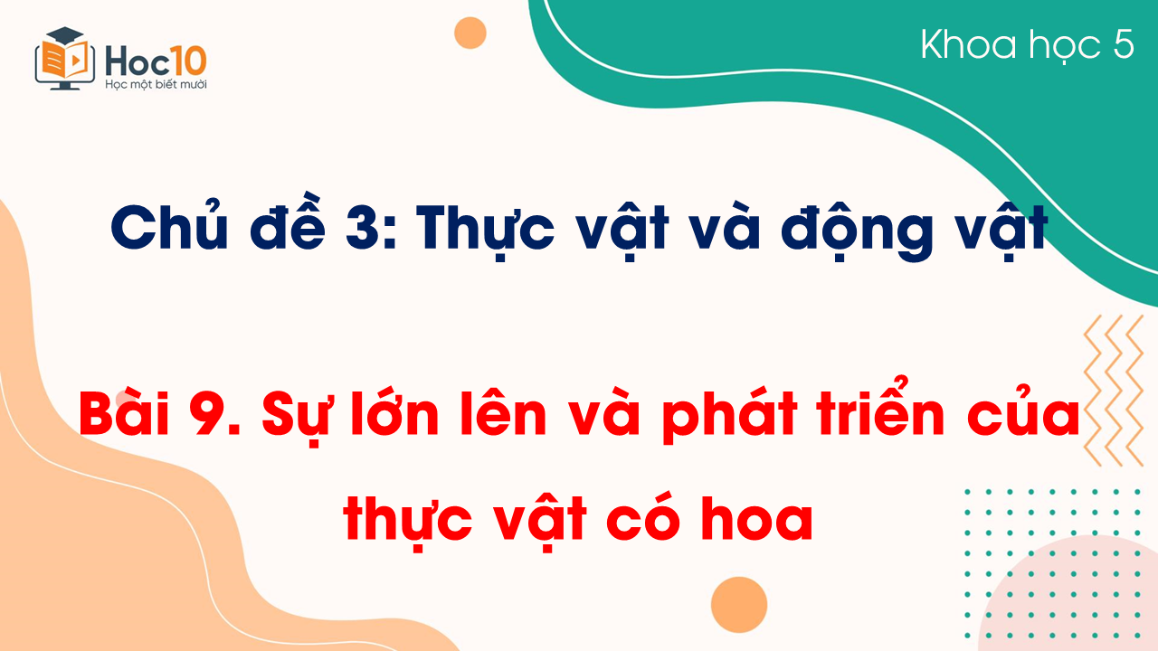 Bài 9 Sự lớn lên và phát triển của thực vật có hoa